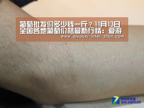 葡萄批发价多少钱一斤?11月13日全国各地葡萄价格最新行情:爱游戏APP(图1) 爱游戏下载