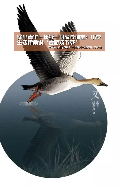 爱游戏APP