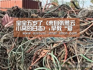 爱游戏APP