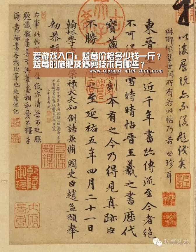 爱游戏入口:蓝莓价格多少钱一斤?蓝莓的施肥及修剪技术有哪些?(图1) 爱游戏全站