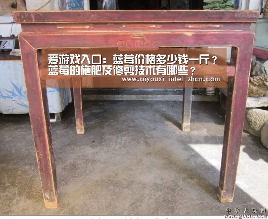 爱游戏入口:蓝莓价格多少钱一斤?蓝莓的施肥及修剪技术有哪些?(图2) 爱游戏入口