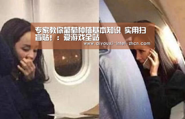 爱游戏平台
