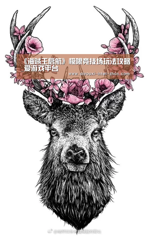 《海贼王启航》极限竞技场玩法攻略_爱游戏平台(图3) 爱游戏APP