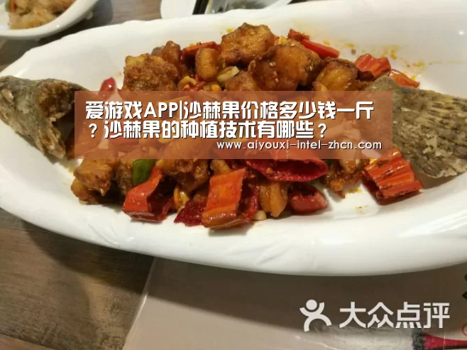 爱游戏APP|沙棘果价格多少钱一斤?沙棘果的种植技术有哪些?(图1) 爱游戏APP