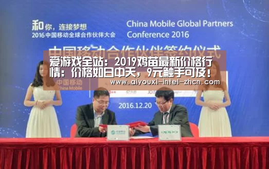 爱游戏入口