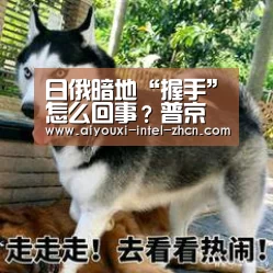 爱游戏入口